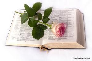 Výběr biblických čtení při svatbě